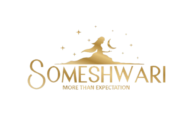 someshwari.in